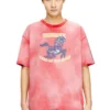 cl-t-boxt-horse T-shirt i bomull med hästmotiv cl-t-boxt-horse T-shirt i bomull med hästmotiv