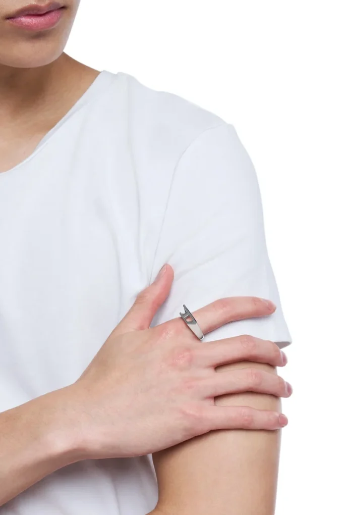 dx1638040 smycken Signetring i rostfritt stål