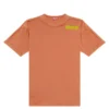 t-boxt-dbl T-shirt med sliten peel-off-effekt t-boxt-dbl T-shirt med sliten peel-off-effekt